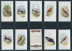P J CARROLL 1939 "BIRDS" CIGARETTE CARDS - PICK YOUR CARD