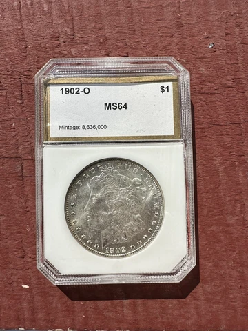 Morgan US Silver Dollar Coin 1902 Cover