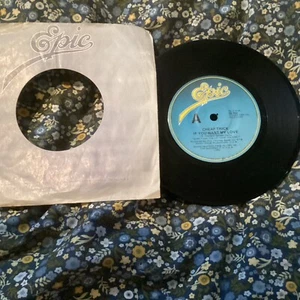Cheap Trick If You Want My Love 7” Vinyl - Picture 1 of 2