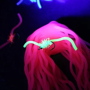 24pcs 3 Colors UV Squirmy Worm Lure Bug San Juan Worm Fly Fishing Flies Lures - Picture 1 of 4