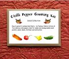 Chilli Pepper Growing Kit - Salad Collection