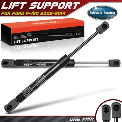 2x Soportes de elevación del capó delantero puntales de amortiguador para Ford F-150 2009-2014 9L3416C826AB Foto 1 de 4