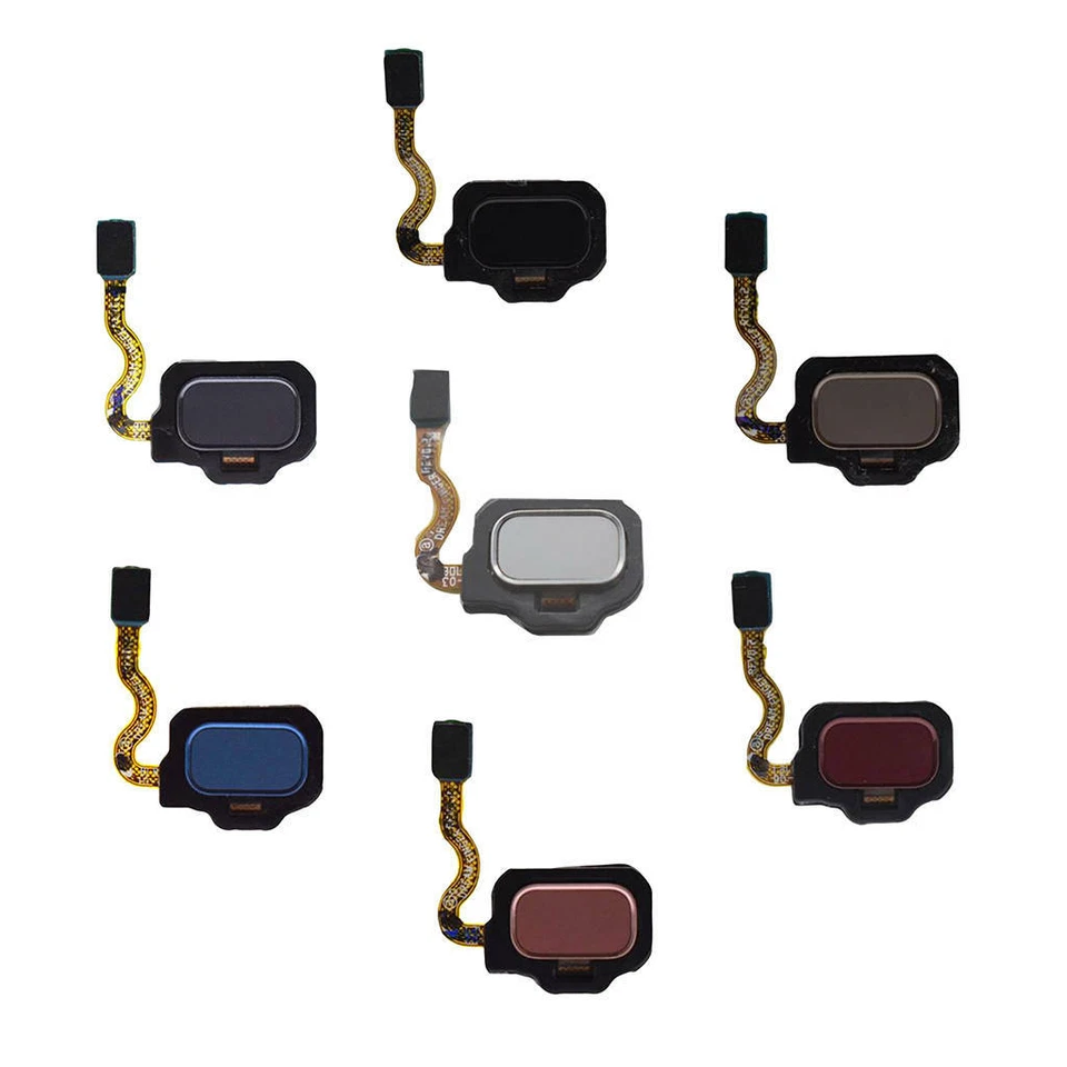 Cavo Flex per impronte digitali pulsante Home per Samsung Galaxy S8 G950 S8 Plus - Immagine 1 di 1