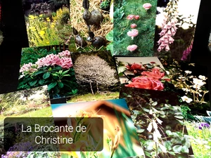 Lot de 12 photos de Fleurs et décos dans un jardin privé des Vosges 14 X 9cm N°3 - Imagen 1 de 8