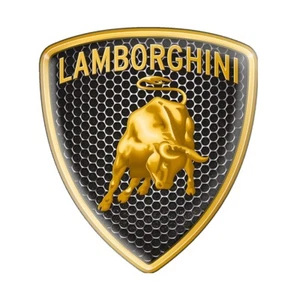 1pcs. Print All sizes Lamborghini logo Sticker Shield Emblem Dome Silicone Badge - Picture 1 of 15