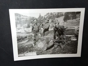 Vintage Holzfäller Foto Americana sammeln Männer Dekor Säge Eph Berg Land Baum - Bild 1 von 2