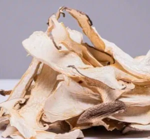 Dried King Oyster Mushrooms Imported USDA Compliant 1 Pound (16 Oz) - Picture 1 of 1