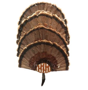 Turkey Fan Mounting Kit. Multiple Fan Display System 4 Fan System Rustic Tin - Picture 1 of 7