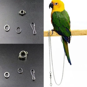 Edelstahl Papagei Fuß Kette Vögel Fußkettchen Ring Führt für Haustier Trainingsgeräte - Bild 1 von 34