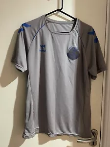 OFFICIAL EVERTON TRAINING SHIRT HUMMEL LARGE - Picture 1 of 2