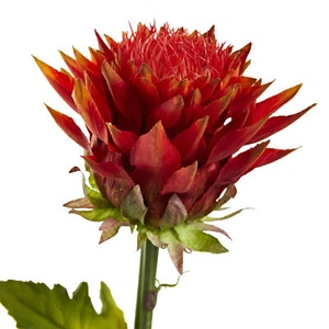 33” Tropical Artificial Flower Orange Red Decoration Nearly Natural Set Of 6 - Picture 1 of 2