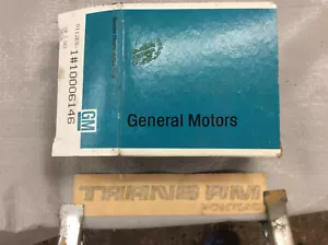 NOS 1979 79 Pontiac Trans Am Front Bumper Decal Gold Yellow Orange 10006146 - Bild 1 von 4