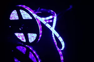 DC12V SMD2835 LED Strip Waterproof Blue&Purple 440-450nm for Fish Tank Aquarium - Picture 1 of 10