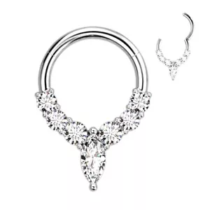 Anello segmento cerniera acciaio zona chirurgico clicker setto cartilagine cerchio piercing - Foto 1 di 2