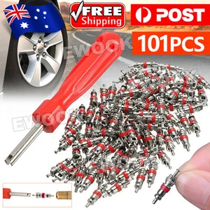 100Pcs Car Valve Core Remover Tool Truck Replacement Tire Tyre Valve Stem Core A - Picture 1 of 9