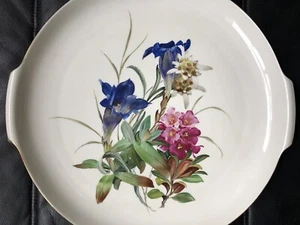 Rosenthal Selb Germany Helena-U.S. Zone-Kuchenplatte Floral Handarbeit 34 cm! - Bild 1 von 6