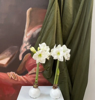 "stoffdesign!" % 5 Meterstück TIZIANO fein*Plissee Luxus Stoff grün Nya Nordiska - Bild 1 von 4