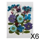 6X Dried Flowers Crafts Multipurpose for Table Decorations Furniture Phone Case
