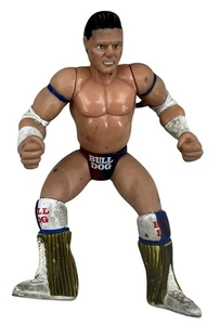 Bulldog Británico WWF Davey Boy Smith 1995 Hasttel Grapplers & Gimmicks WWE Suelto - Imagen 1 de 7