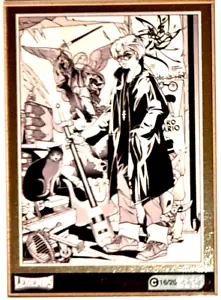 BONELLI GEDIS TCC TRADING CARD LEGENDS PARALLEL NUMERATA RARE ART N.16 JULIA - Foto 1 di 2