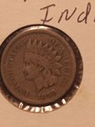 1859 Indian Head Cent - Circulated