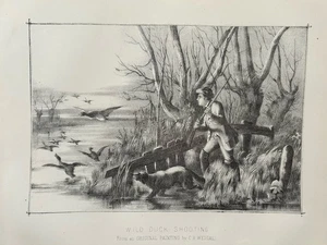 Antique Wild Duck Shooting Print c1880s – Large Engraving – Field Sports - Picture 1 of 15