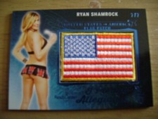 2018 Benchwarmer Hot For Teacher Ryan Shamrock Pledge Flag Patch BLUE Ser# 2/2