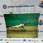 Graig Nettles Yankees W.S. Signed Diving Catch 11X14 Photo - Hof Coa