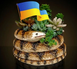 Random Snake color - Surprise for you. Stylish Pot Decorative Planter Original - Picture 1 of 12