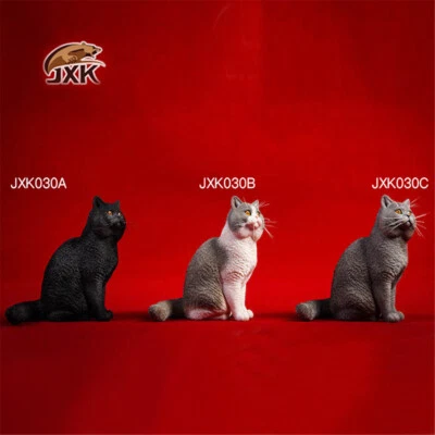 JXK 1:6 Scale British Shorthair Cat Model Cute Animal Figure Collection Decor - Image 1 of 4
