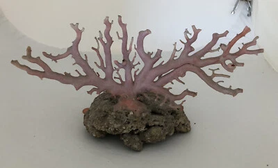 Árbol de coral rosa natural vintage en exhibición original Bedrock Foto 1 de 4