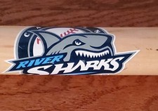 Rare Camden Riversharks MILB Atlantic Minor League Baseball Mini 18" Wood Bat