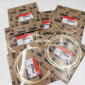 6Set 5298564 OEM Shim -Liner .020 Counterbore Shim For Cummins ISX 1997-2015 NEW - Foto 1 di 6