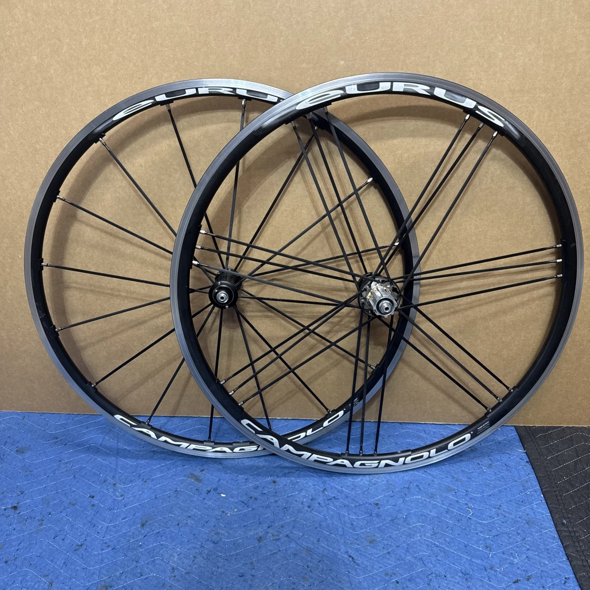 Campagnolo Eurus 2-Way Fit 15C カンパフリー