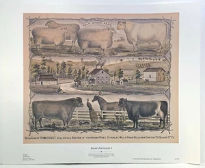 Rural Americana 1, handkolorierter Liathgraph. Reproduktionsdruck - Bild 1 von 1