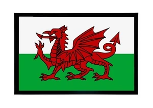 WALISISCHE FLAGGE Fußmatte rutschfest Gummirücken 60cm x 40cm Wales Dragon Fußmatte - Bild 1 von 2