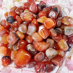 1kg Red Agate Crystal Gemstone Stone Chips Chakra Healing Reiki Decoration - Picture 1 of 2