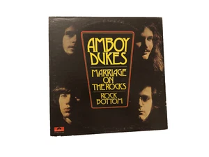 Amboy Dukes Marriage 24-4012 Stereo Polydor Records Vintage 1970 LP Vinyl EX - Imagen 1 de 4