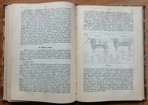 Товароведение. 1906 г. - Picture 1 of 12