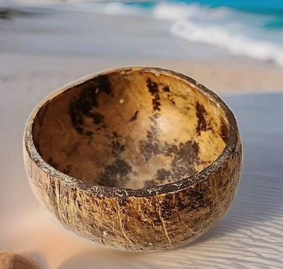 Tazón de Coco Natural De Colección Kava Té Ceremonia Fideos Tazón de Arroz 5"Wx3"H Regalo Orgánico Foto 1 de 4