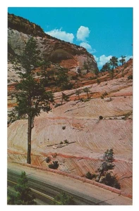Zion National Park White Arch Washington County Utah Color Postcard - Picture 1 of 2