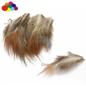Nuevo 10-100 piezas Pluma Faisán Natural 2-3 pulgadas/4-7 cm Disfraz de Carnaval Cabeza - Imagen 1 de 4