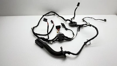 AUDI Q5 2009 2010-2017 PUERTA TRASERA IZQUIERDA CABLEADO ARNÉS 8R0971687 OEM Foto 1 de 4