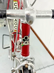 TEAM SCIC BOTTECCHIA 1979 COLNAGO MEXICO SUPER RECORD 3TT CONCOR - Bild 1 von 19