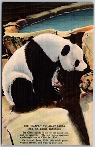 Postal de lino de colección St Louis Missouri MO Zoo See Happy The Giant Panda Bear años 40 - Imagen 1 de 2
