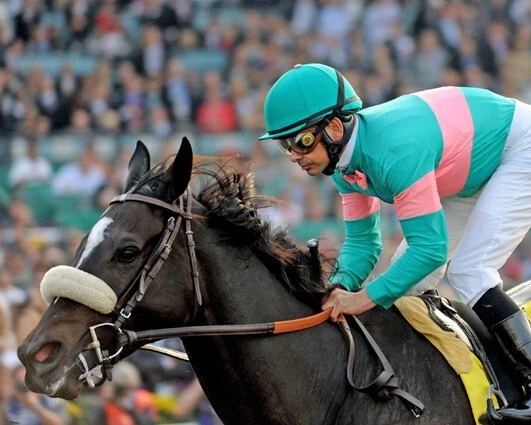 Champion Racehorse ZENYATTA Glossy 8x10 Photo Mike Smith Poster Breeders Cup - Image 1 of 1