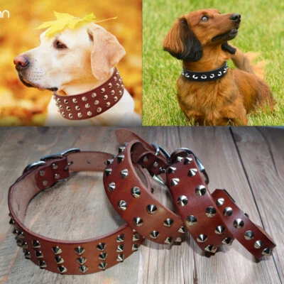 Genuine Leather Studded Dog Collars Heavy Duty for Small Medium Large Dogs S-XL - Image 1 of 4