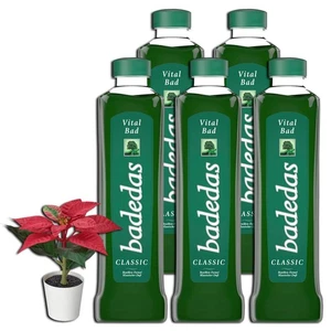 5 x  Schaumbad Classic Vital, 500 ml + Weihnachtsstern / Topfpflanze - Bild 1 von 1