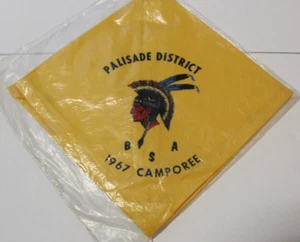 Pañuelo para el cuello Blue Grass Council Lexington Kentucky, 1967 Palisade District 1967 - Imagen 1 de 1