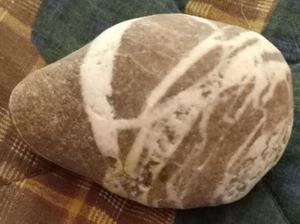 Septarian Stein unpoliert 3,5 Zoll x 2,5 Zoll - Bild 1 von 6